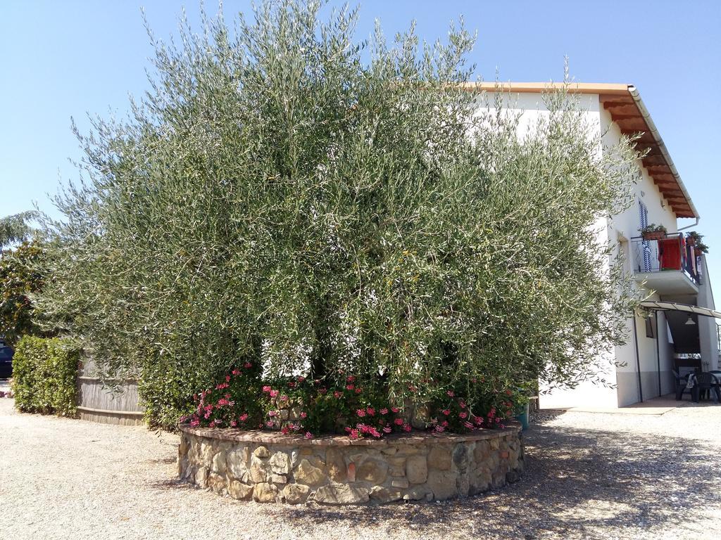 Country House Tenuta Fornacelle San Gimignano Extérieur photo